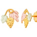 Earrings - by Landstrom's